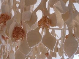 Regula Maria Müller (CH/NL), beeldmateriaal, Galerie Regula Maria Müller (CH/NL), beeldmateriaal, Galerie